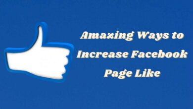 Digiworld Made Easy Facebook Page Increase Like